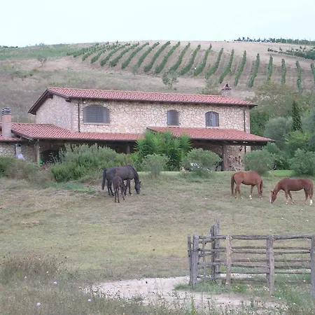 Casale Farnesiana B&B-2